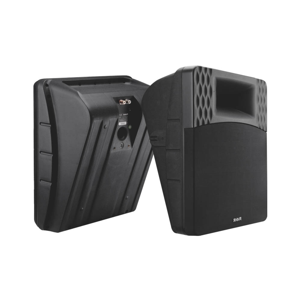 Surround Speaker